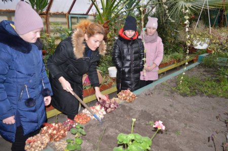 Реалізація проєкту “Flowers4school”