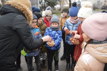 РЕАЛІЗАЦІЯ ПРОЄКТУ “FLOWERS4SCHOOL”