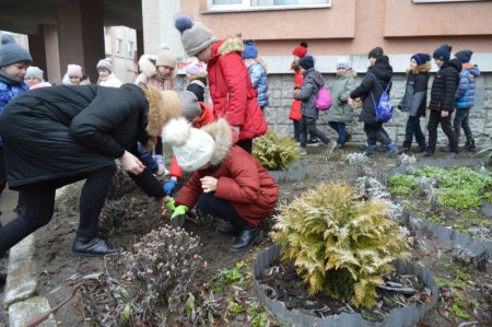 РЕАЛІЗАЦІЯ ПРОЄКТУ “FLOWERS4SCHOOL”