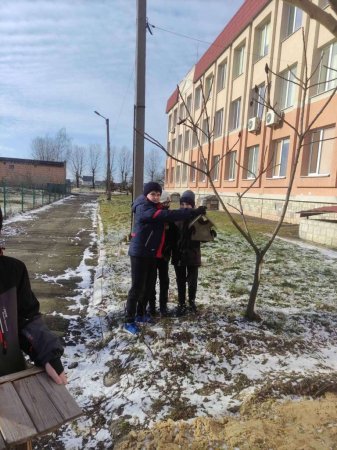 Час допомогти птахам!