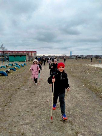 «Скандинавська ходьба»