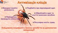 Активізація кліщів: як вберегтися від їхніх укусів