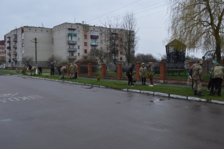 Озеленення селища