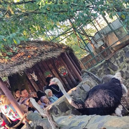 Екскурсія 