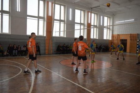 Територіальний етап проекту «Пліч-о-пліч»