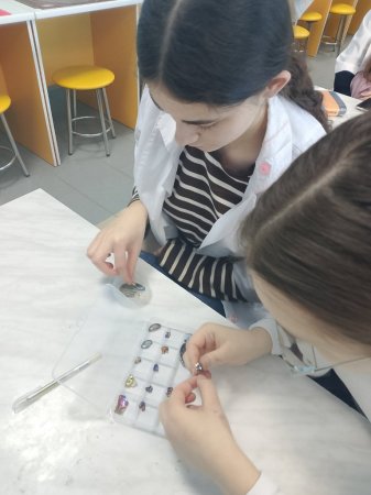 Четвертий день STEM-весни