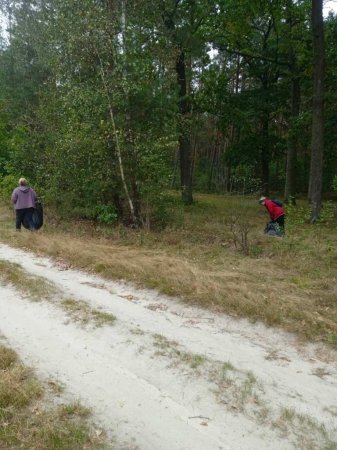 Колегіумівці долучилися до Всесвітнього дня прибирання 