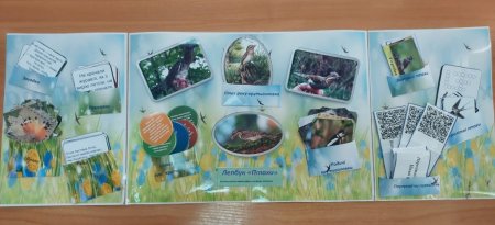 Перемоги, що надихають!