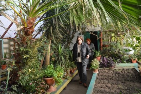 Професійний обмін досвідом