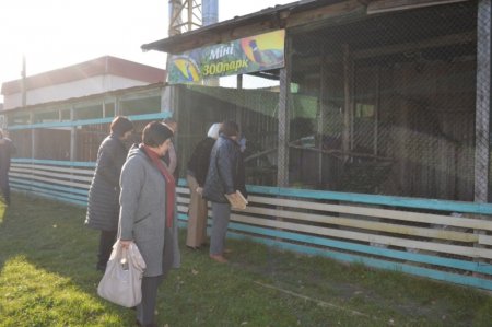 Професійний обмін досвідом