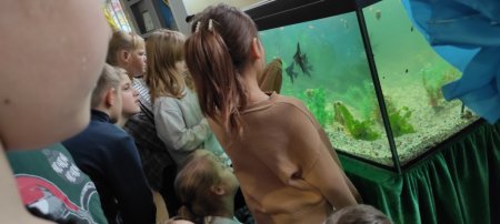 Відновлено акваріум для спостереження та дослідження