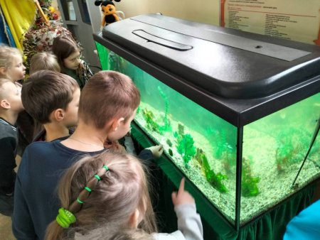 Відновлено акваріум для спостереження та дослідження