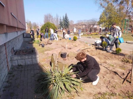 Озеленення території ліцею