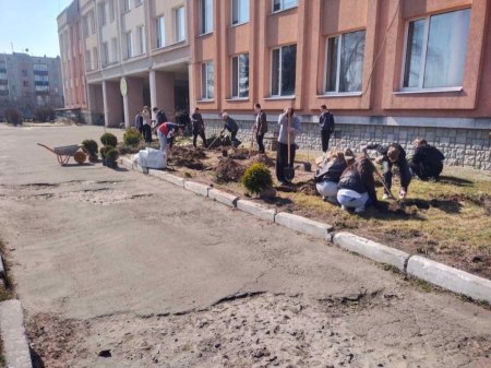 Озеленення території ліцею