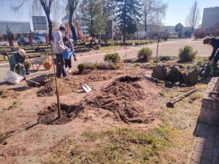 Озеленення території ліцею