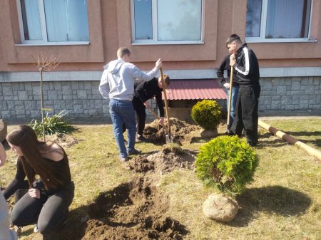 Озеленення території ліцею