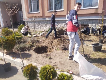 Озеленення території ліцею