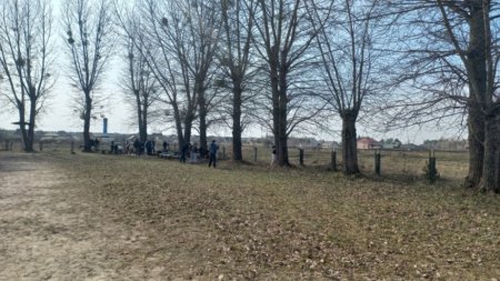 Весняна толока у ліцеї